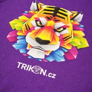 trikon_02